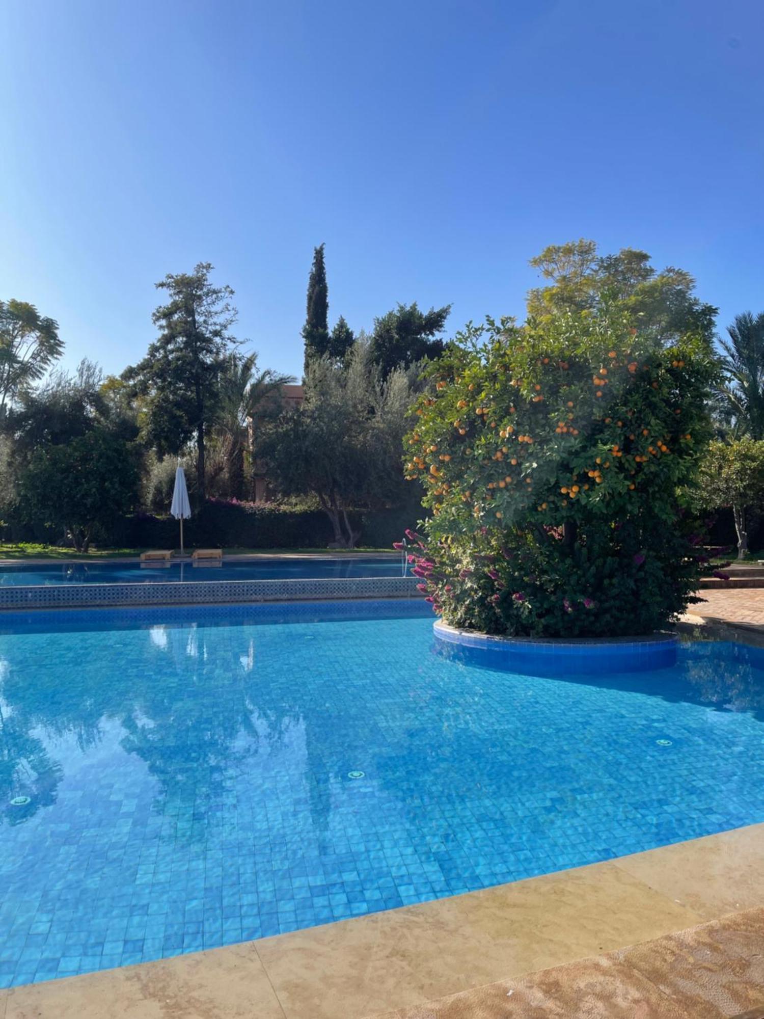 Appartement Au Coeur De La Palmeraie De Marrakech Marrakesh
