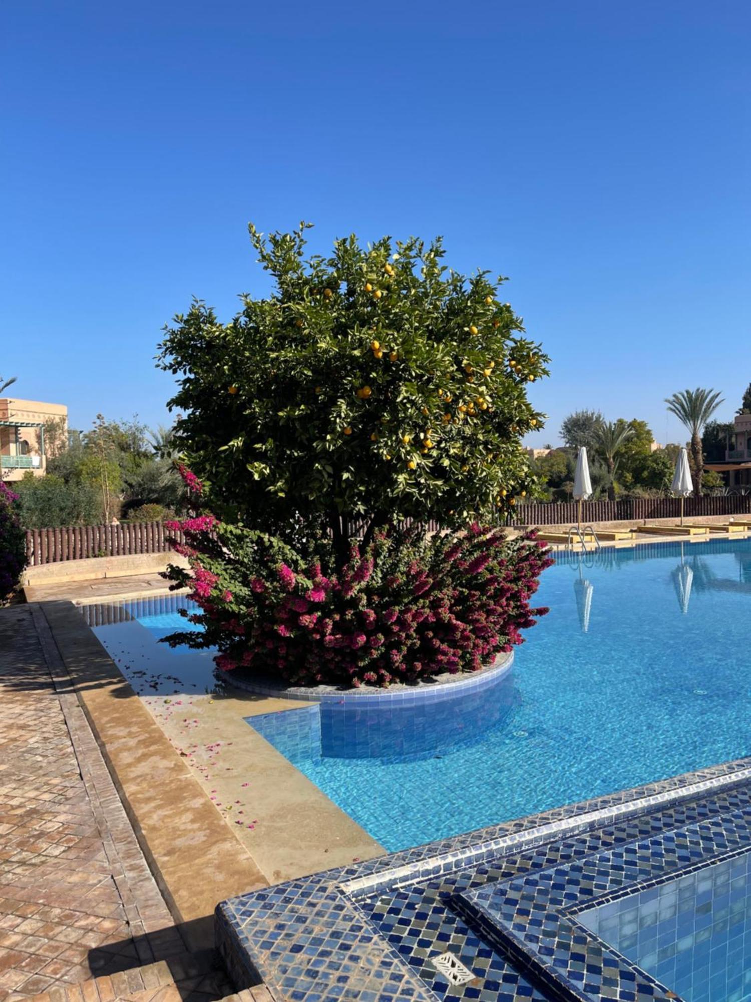 Au Coeur De La Palmeraie De Marrakech Appartamento Marrakesh